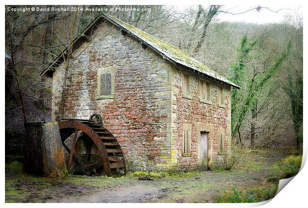 The Old Watermill, Derbyshire Print by David Birchall