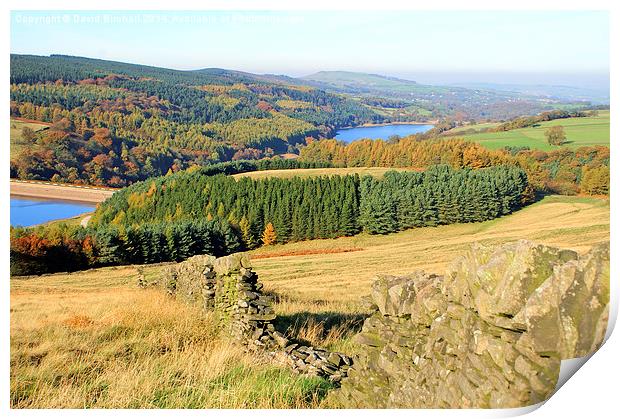 Goyt Valley Autumn, Derbyshire Print by David Birchall