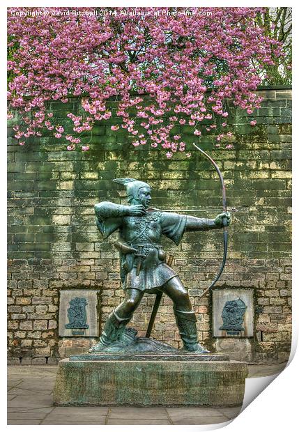 Robin Hood Statue Print by David Birchall