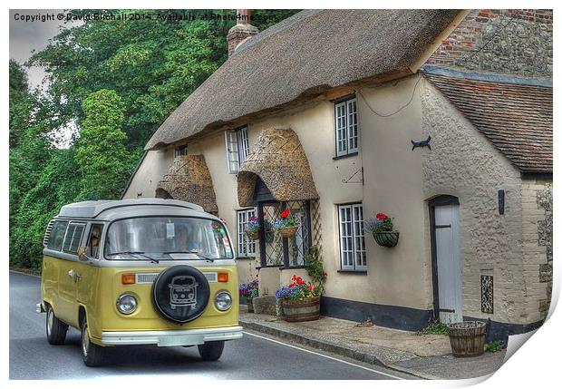  VW Camper and Thatch Print by David Birchall