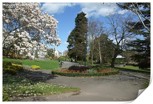  Priory Park Great Malvern Print by David Birchall