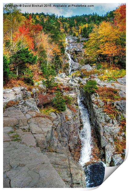  Silver Cascade Waterfall in New Hampshire Print by David Birchall