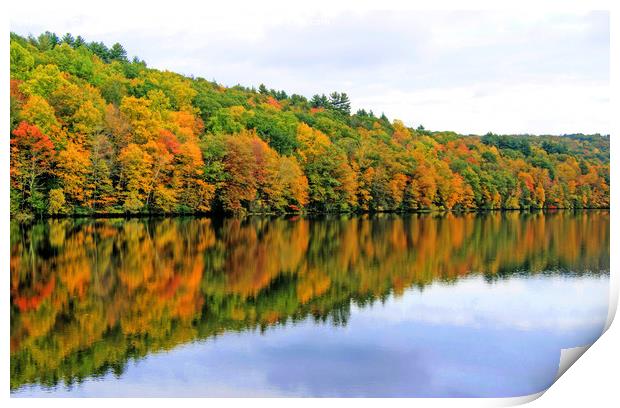 Fall Reflections in New England, America. Print by David Birchall