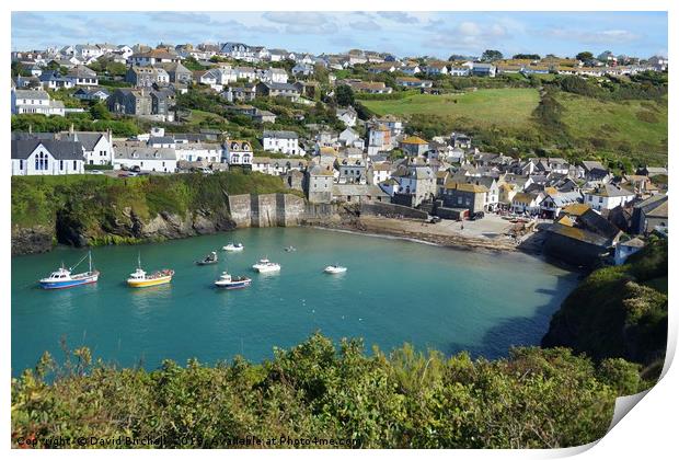 Port Isaac harbour and village, Cornwall. Print by David Birchall