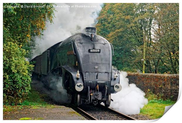 A4 60009 Union Of South Africa Print by David Birchall