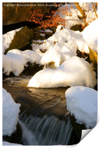 Winter Stream Print by David Birchall