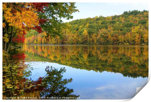Connecticut River in Autumn Print by David Birchall