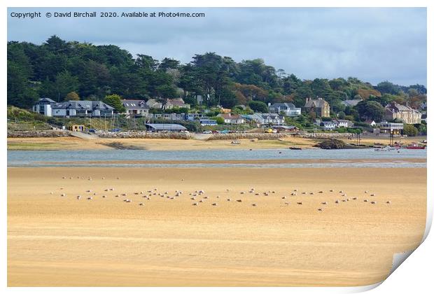 The view from Padstow to Rock in Cornwall Print by David Birchall