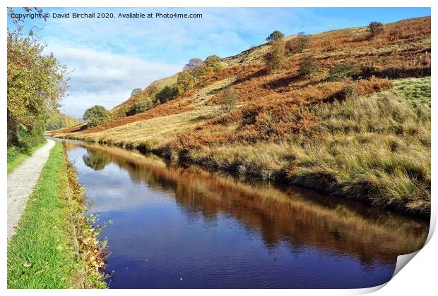 Canal side autumn at Summit village. Print by David Birchall