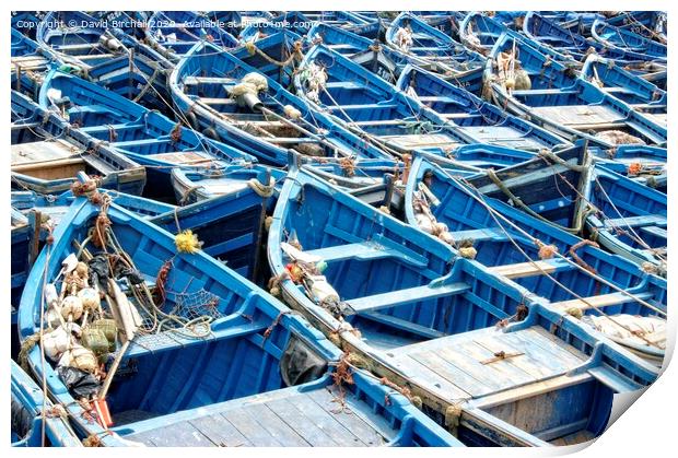 The blue boats of Essaouira Print by David Birchall