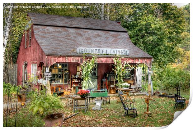 Country Things store in rural New England. Print by David Birchall