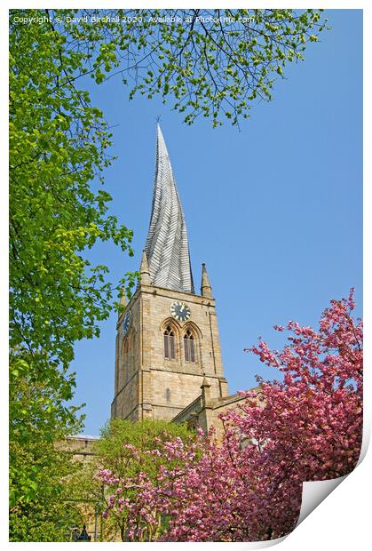 Chesterfield twisted spire. Print by David Birchall