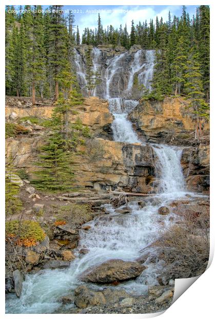 Tangle Falls, Jasper National Park, Canada. Print by David Birchall