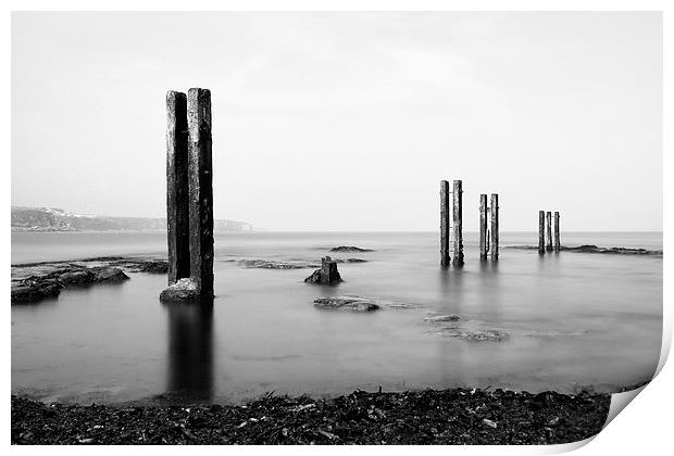  Wooden Posts Rising Print by Helen Holmes