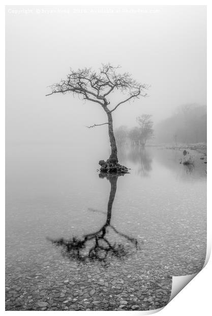 Misty Milarrochy Loch Lomond Print by bryan hynd