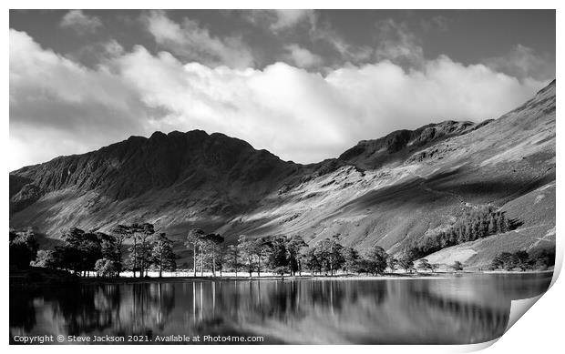 The Pines on Buttermere Print by Steve Jackson