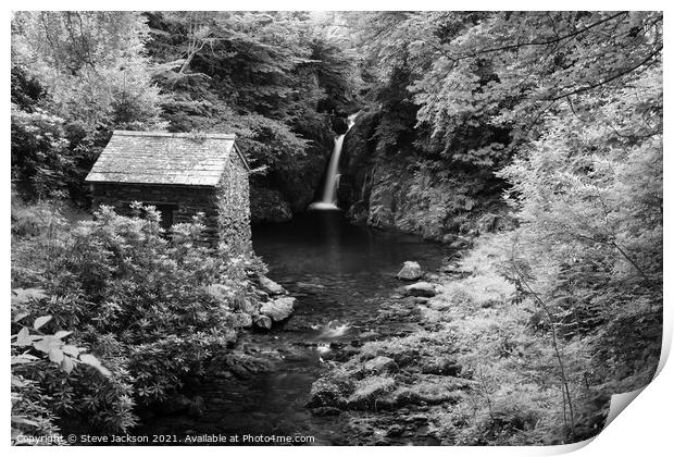 Rydal waterfall and Grot Print by Steve Jackson