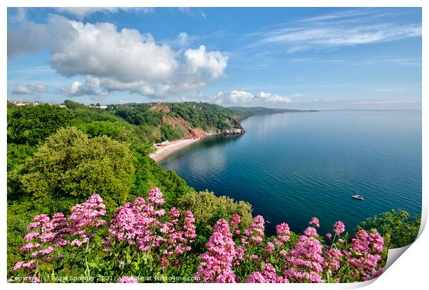 Oddicombe Beach view from Babbacombe Downs Print by Rosie Spooner