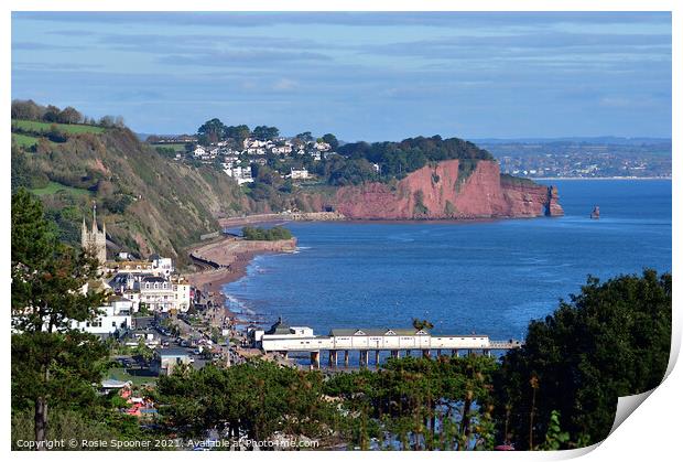 Looking down on Teignmouth  Print by Rosie Spooner