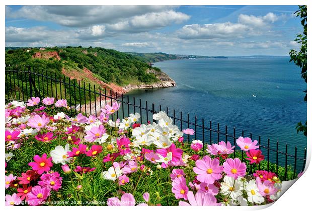 Beautiful flowerbeds at Babbacombe Downs Print by Rosie Spooner