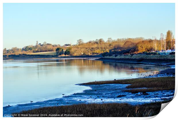 The River Exe  Print by Rosie Spooner