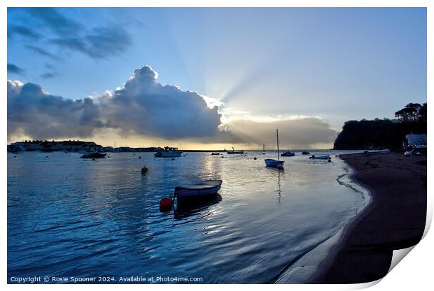 Shaldon Beach Print by Rosie Spooner