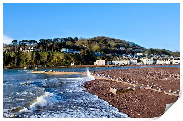 Shaldon View Devon Print by Rosie Spooner