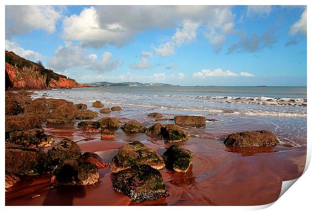 Red cliffs and sand at Broadsands Beach Torbay  Print by Rosie Spooner