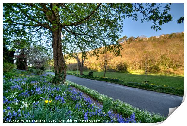 Ilsham Valley on the way to Meadfoot Beach Torquay Print by Rosie Spooner