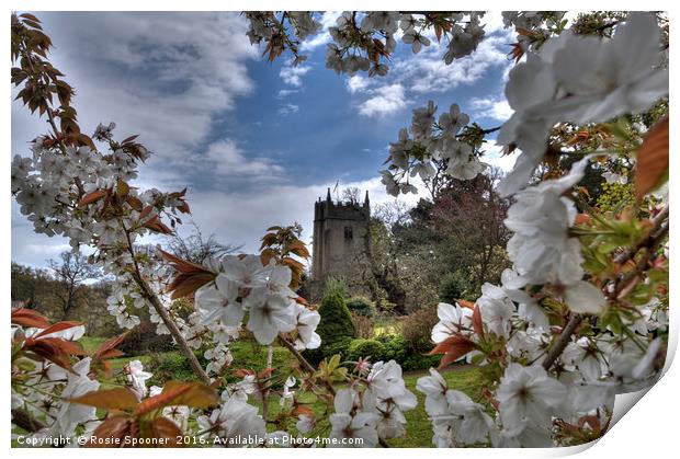Cockington Church Torquay viewed through the spring blossom  Print by Rosie Spooner