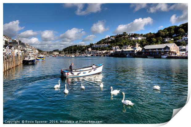 Swans follow the ferryman on the River Looe Print by Rosie Spooner