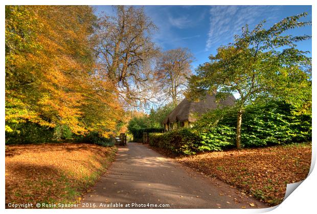 Autumn at Cockington Country Park Print by Rosie Spooner