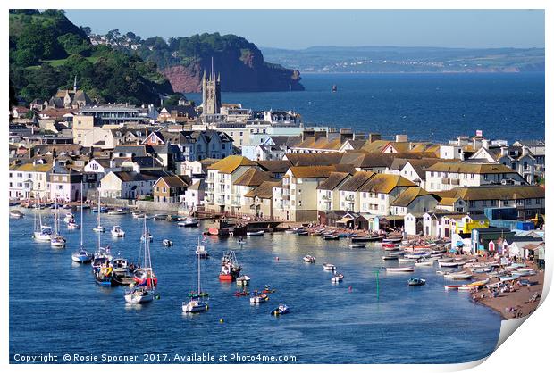 Teignmouth Back Beach and Town viewed from Shaldon Print by Rosie Spooner