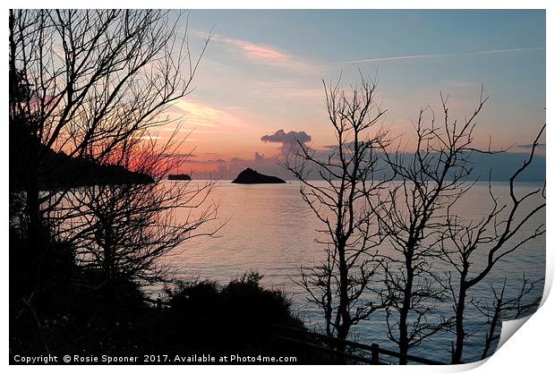 Sunrise at Meadfoot Beach in Torquay through the t Print by Rosie Spooner