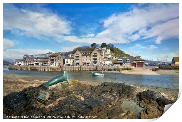 View of Nelson the seal across The River Looe  Print by Rosie Spooner