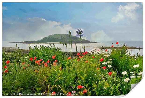 Poppies at Looe looking towards Looe island Print by Rosie Spooner