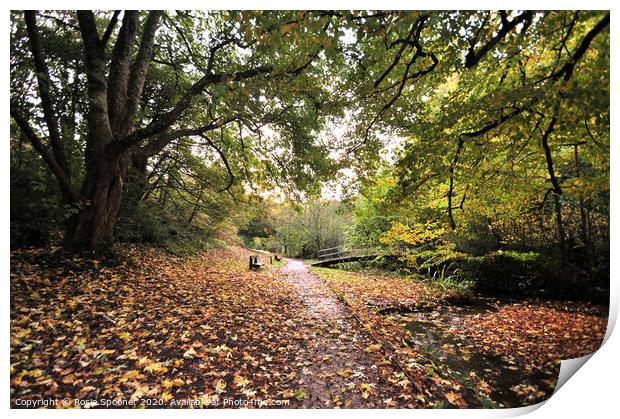 Autumn walk Cockington Print by Rosie Spooner
