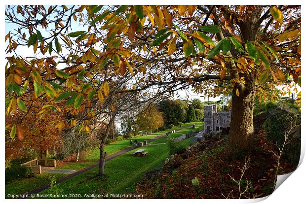 Autumn at The Botanical Gardens at Shaldon Print by Rosie Spooner
