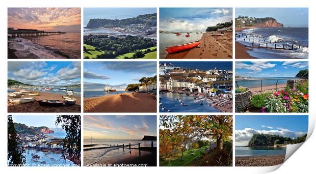 Teignmouth and Shaldon throughout the seasons Print by Rosie Spooner