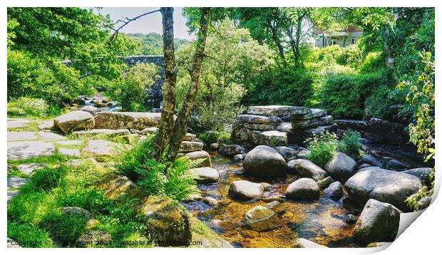 Dartmeet On A Summers Day Print by Peter F Hunt