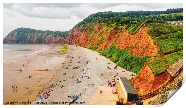 The Red Cliffs Of Sidmouth  Print by Peter F Hunt