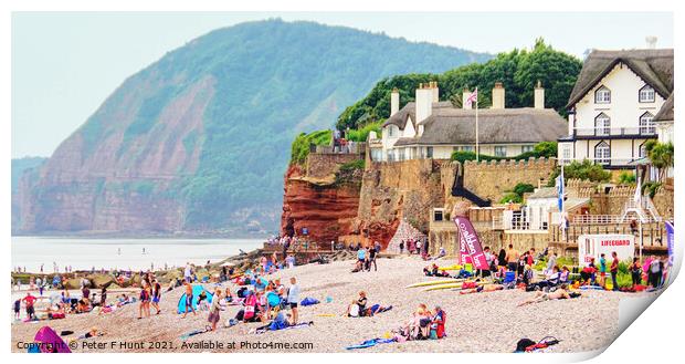 Jurassic Coast At Sidmouth East Devon  Print by Peter F Hunt