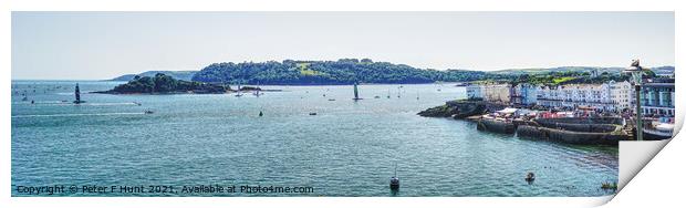 Plymouth Sound And Drakes Island Print by Peter F Hunt