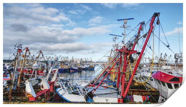 The Fishing Fleet Is In  Print by Peter F Hunt