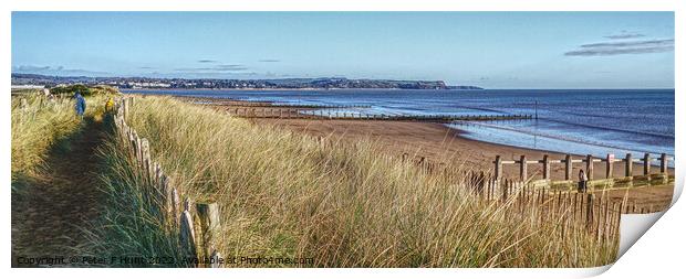View Over The Dunes Dawlish Warren Print by Peter F Hunt
