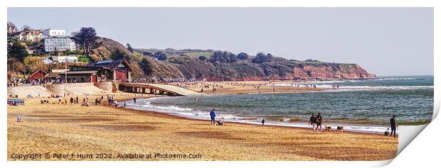 Exmouth On The Jurassic Coast Print by Peter F Hunt