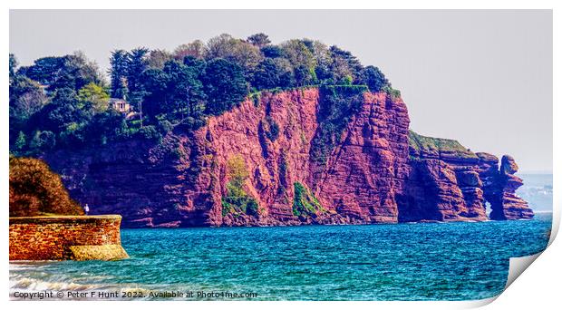 The Red Cliffs Of Teignmouth Print by Peter F Hunt