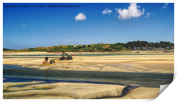 Working On The Sandbank Camel River Print by Peter F Hunt