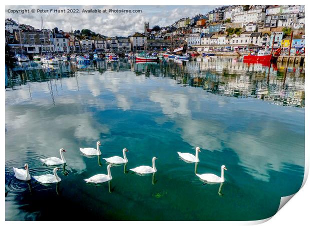 Reflections And Swans In The Harbour Print by Peter F Hunt