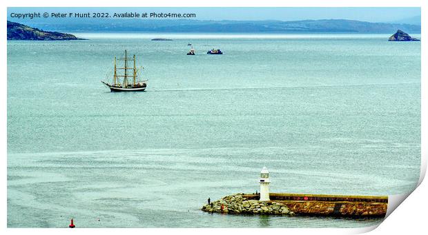 Pelican of London Coming Into Torbay Print by Peter F Hunt